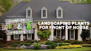 Landscaping Plants for Front of House | Done-In-A-Weekend Projects: Layer Up II | YouTube