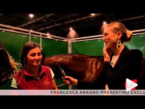 WAHC 2015 - Interview with Monika Dobrun
