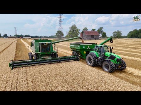 Wheat Harvest 2024 near Greenfield Indiana