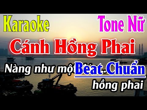 Cánh Hồng Phai Karaoke Tone Nữ Karaoke Lâm Organ - Beat Chuẩn