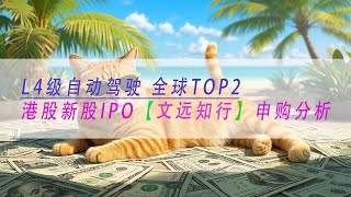 【文远知行】 L4级自动驾驶 全球TOP2 港股新股IPO 申购分析