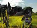 Spellforce 2: Shadow Wars 
