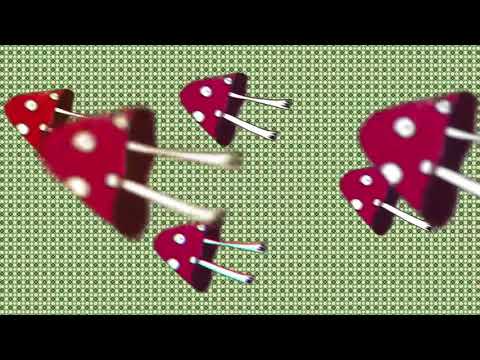 BAJZEL - Japad (official video)