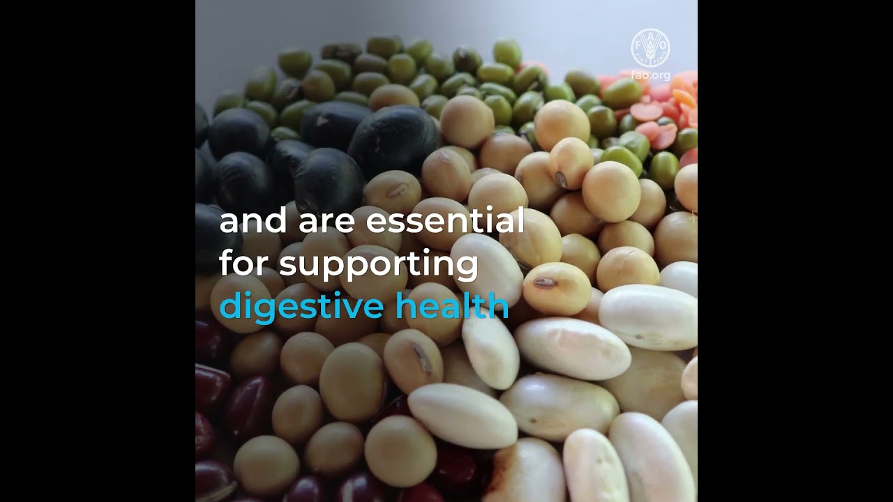 Pulses: Your Best Source of Dietary Fibre