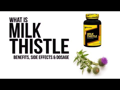 What is Milk Thistle?/ Benefits, Side Effects & Dosage