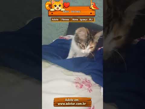 Vídeo de sem nomes