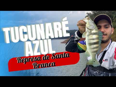 Pescaria na Represa de Santa Branca - Tucunaré Azul | Fishing Edit