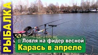В апреле рыбалка на фидер