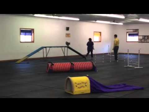 download lagu mp3 mp4 Tdaa, download mp3 Tdaa free download mp3, download mp3 Tdaa