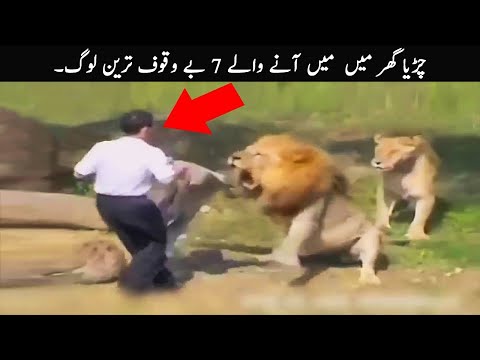 7 Stupid Zoo Guest Caught On Camera | TOP X TV