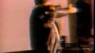 2 Pac feat. Scarface and Master P - Homies And Thugs