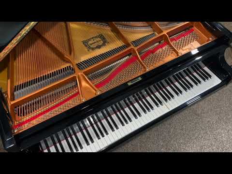 Yamaha DC1 Chopin Nocturne