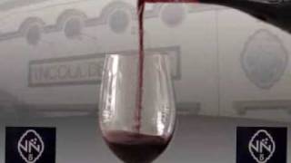 preview picture of video 'Vinícola de Nelas  - Apresentação Vinho Status'