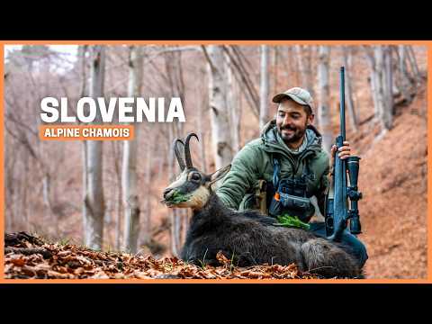 Hunting Slovenia's ELUSIVE Chamois Bucks in the Alps Mountains