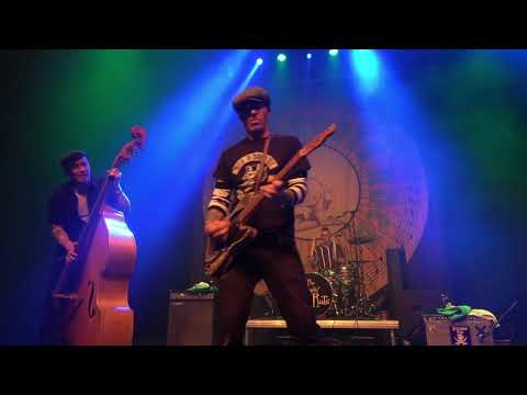 The Surf Rats    - Rolmo's Roots Rock  -