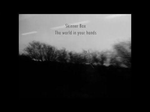 Skinner Box - The World In Your Hands (Spirit of the staircase)