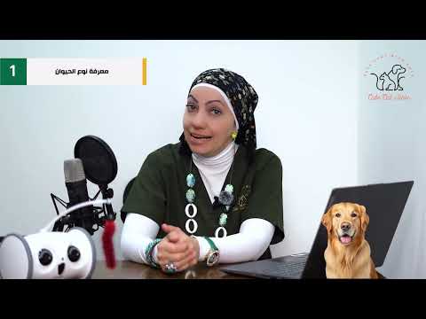 How to Choose the Right Food for Your Pet 2024