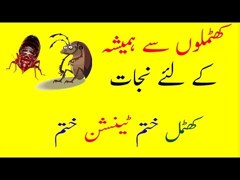 How to Get Rid of Bed Bugs Fast And Easily in 4 Easy...