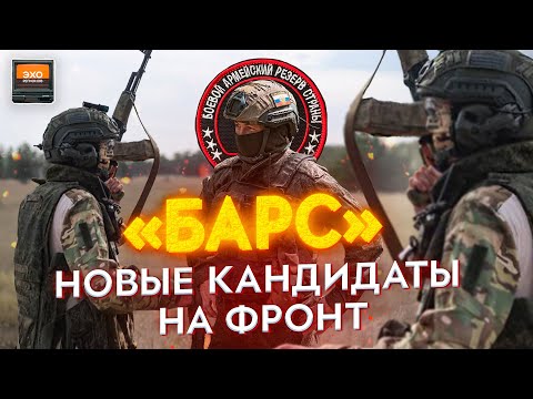 Кто такие БАРС? | Эхо регионов