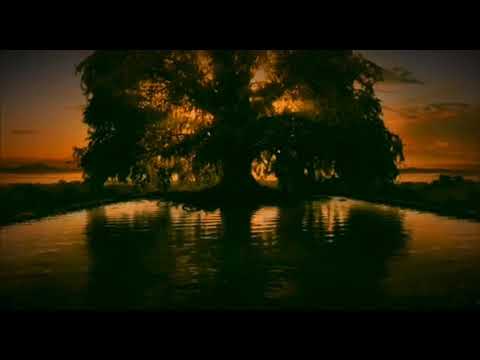 Aldo Lesina / Together/ Traducida al español en la descripción del video