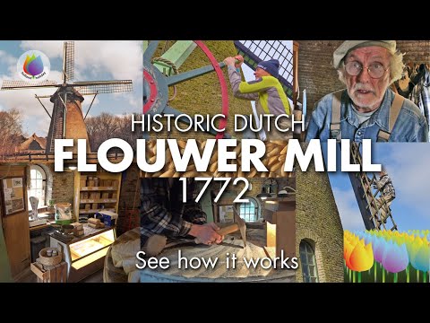 Historic Dutch Flouwer Mill 'Kijkduin'