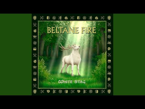 発禁ジャケ付 / BELTANE FIRE - DIFFERENT BREED Issue 2026-002 • Album Reviews • DPRP.net