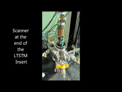 LT-STM in Action : Insert hoisting