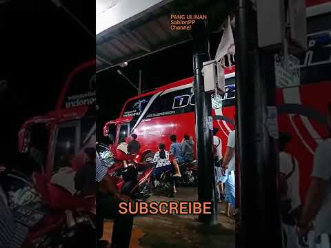 BUS PARIWISATA MITRA RAHAYU DCR260