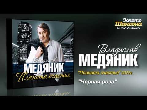 Владислав Медяник - Чёрная роза (Audio)