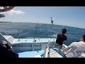MAKO SHARK JUMPING 4m From Boat