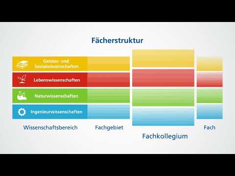 DFG-Fachkollegien: Die Fächerstruktur