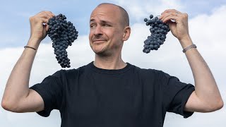 Download lagu Vino Nobile Diaries: Tasting the Essence of Italy mp3 Download lagu Vino Nobile Diaries: Tasting the Essence of Italy mp3