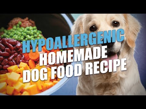 download lagu mp3 mp4 Homemade Dog Treats For Dogs With Allergies, download lagu Homemade Dog Treats For Dogs With Allergies gratis, unduh video klip Homemade Dog Treats For Dogs With Allergies