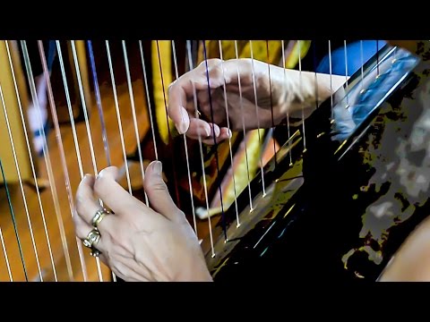 Harp Session: Bugle / Capt.Moonlight's / Capt.O'Kane: Catskills Irish 2016 #71