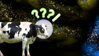 I&#39;m a Cow In Space - Cow Series - Las Vegas Mobsquad