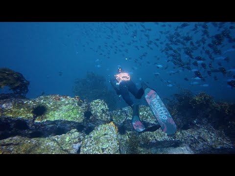 Zielfischen im Winter auf Königsfische in Neuseeland