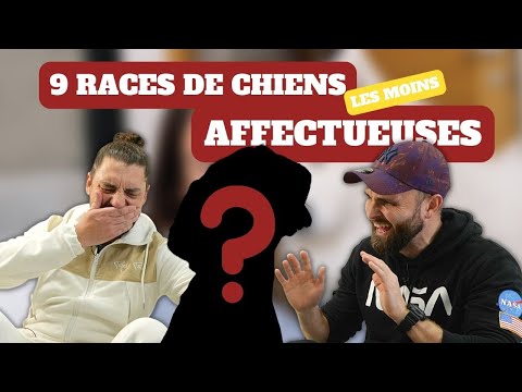 You love cuddles: DON'T get these dog breeds!