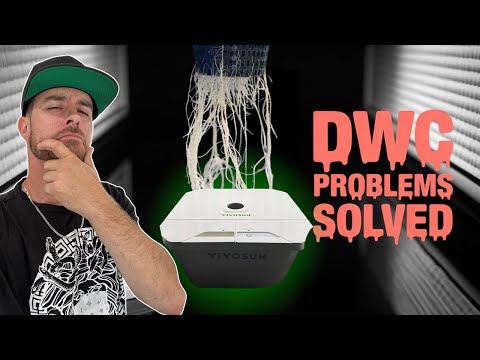 Struggling with DWC? | Try This!