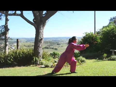 Shibashi - 18 form with instruction - Tai Chi / Qigong