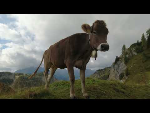 MONTE LASTRONI - LAGHI d'OLBE anello da Sappada