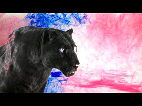 Desert Mountain Tribe - Chemical Genius (feat. Najma Akhtar)