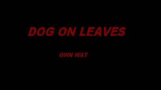 Dog On Leaves - Own Way (Ramp cover)
