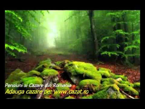 Cazare Corbu Nou, Braila - Cazat.ro