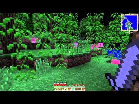 Minecraft F.T.B. Unleashed Ep 4