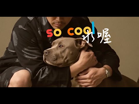 A-CooL蔡佳和 |水喔 so cool (Official Music Video)