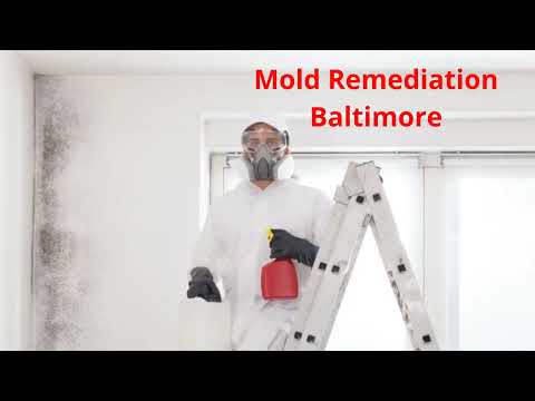 Videos from Charm City Mold Inspections
