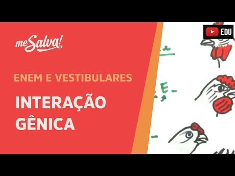 Me Salva! GEN27 - Genética - Interação gênica