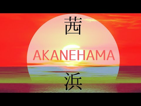 茜浜/山口陽一  AKANEHAMA  Tokyo Bay Music 2020 Video