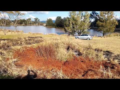5 Second Avenue, Millfield, NSW 2325, 0房, 0浴, Section
