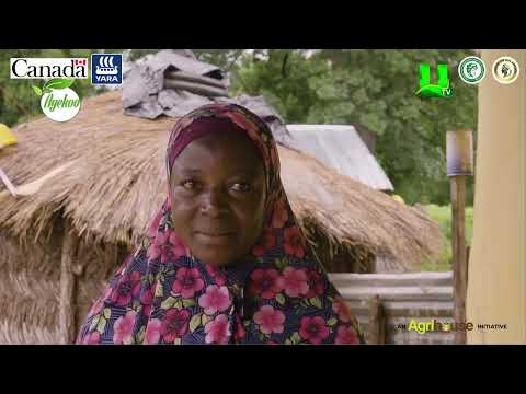 AYEKOO: 8TH WOMEN IN FOOD AND AGRICULTURAL LEADERSHIP TRAINING FORUM & GOLD IN THE SOIL AWARDS
